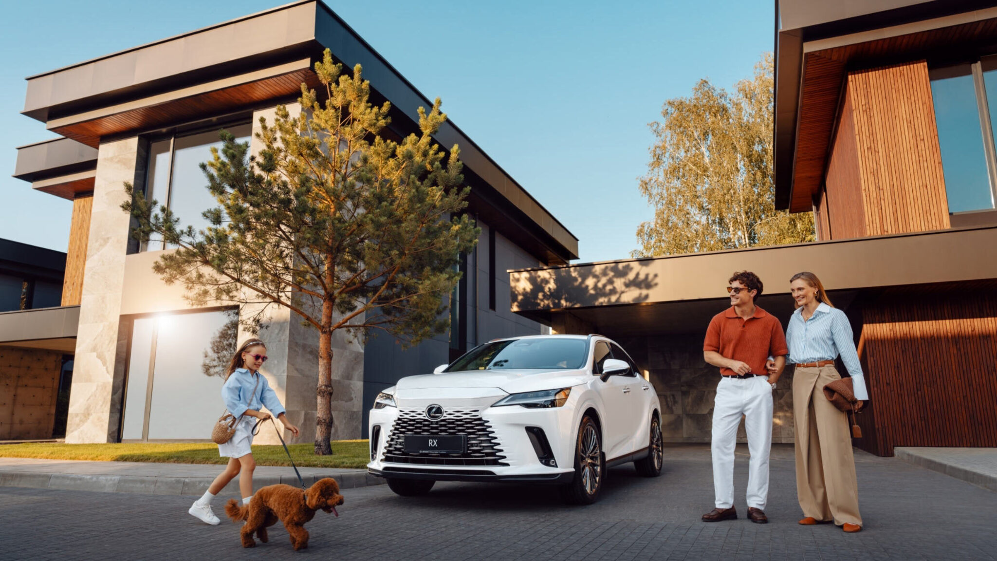 RX плагін-гібрид