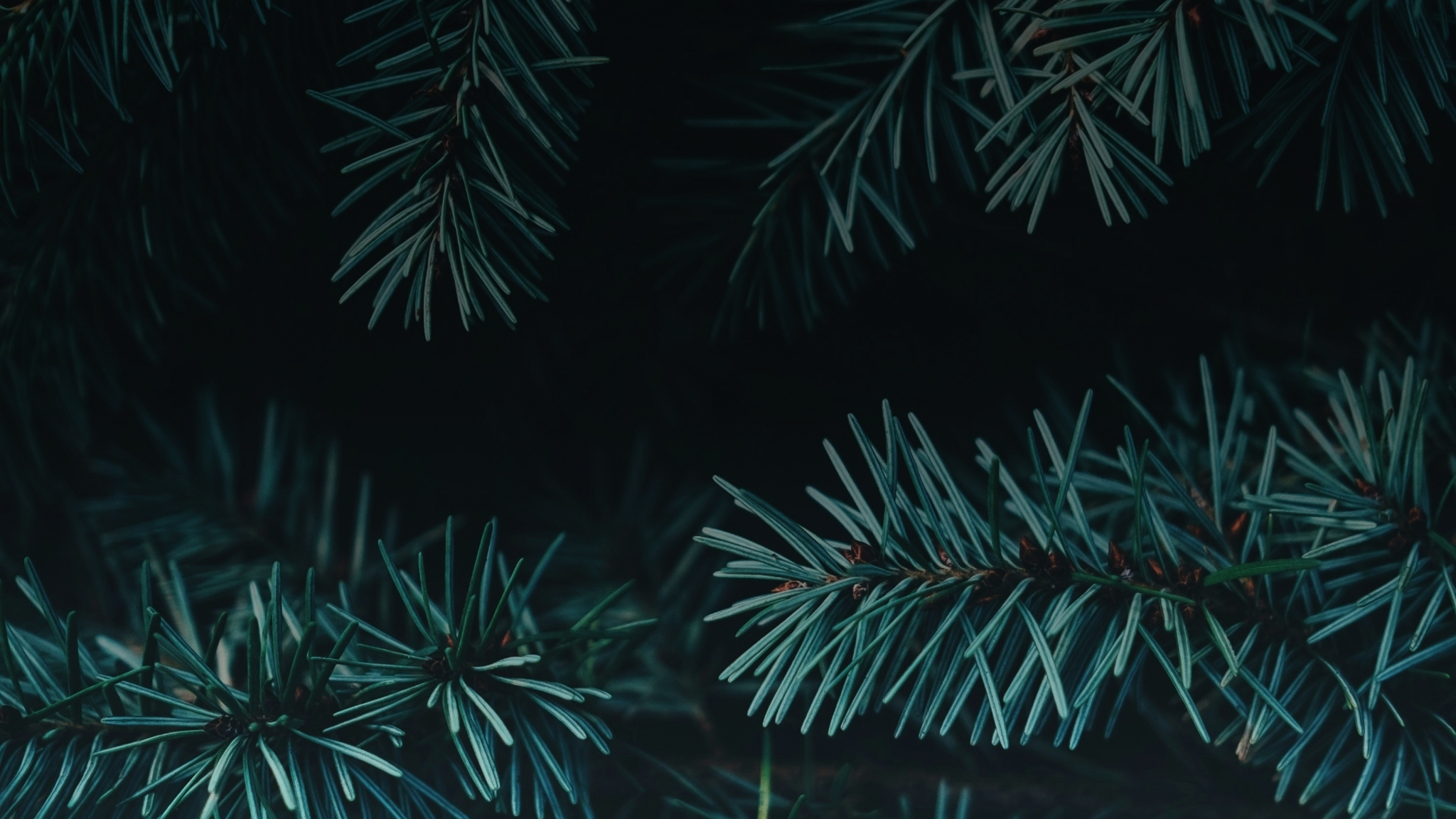 Графік роботи