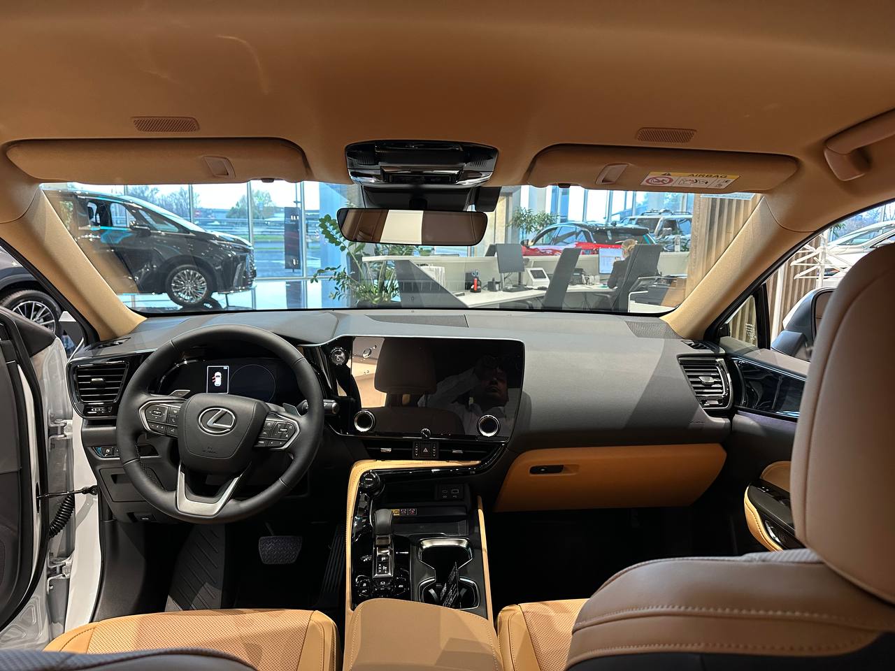 Коричнева комбінована шкіра / Вставки 