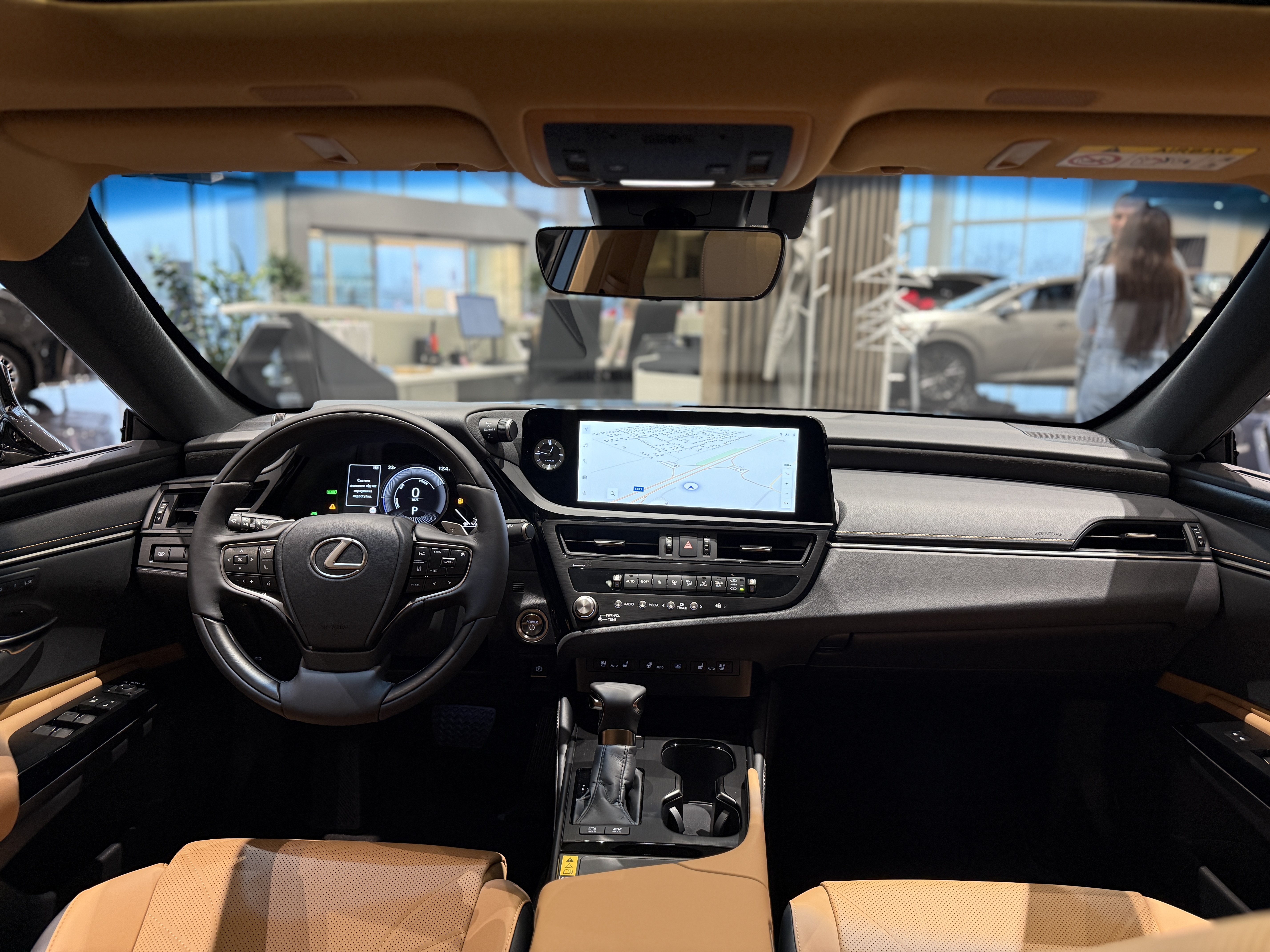 Коричнева комбінована шкіра / Вставки 