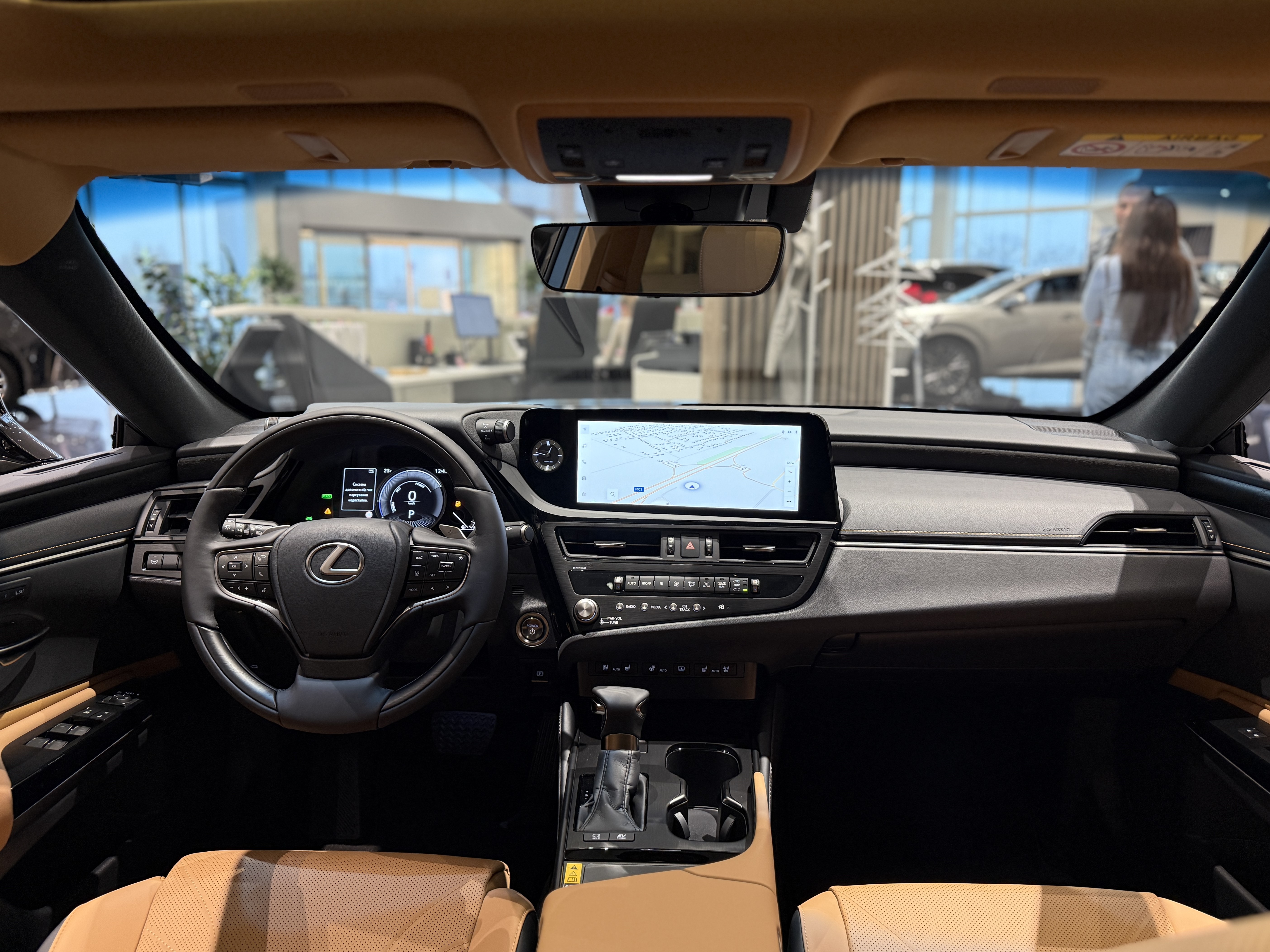 Коричнева комбінована шкіра / Вставки 