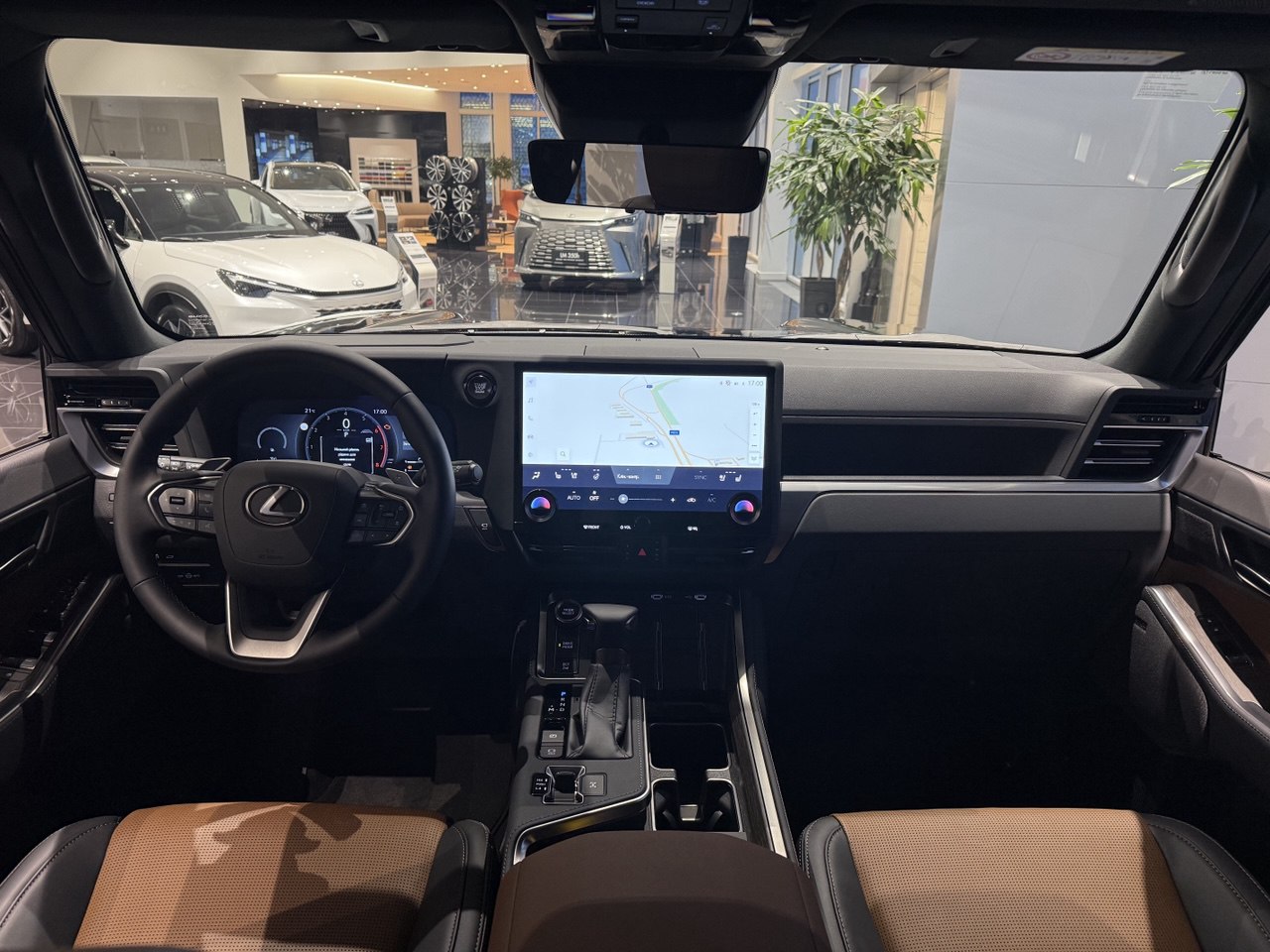 Семіанілінова комбінована шкіра коричневого кольору з чорними акцентами, вставки 