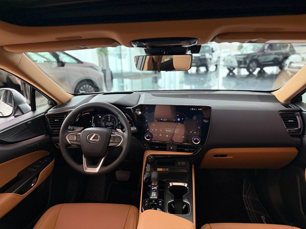 Коричнева комбінована шкіра / Вставки 