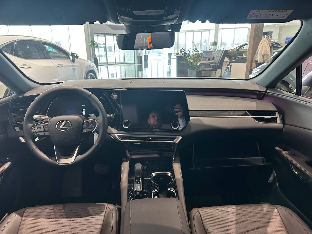 Комбінована шкіра кольору Темна сепія / Вставки 