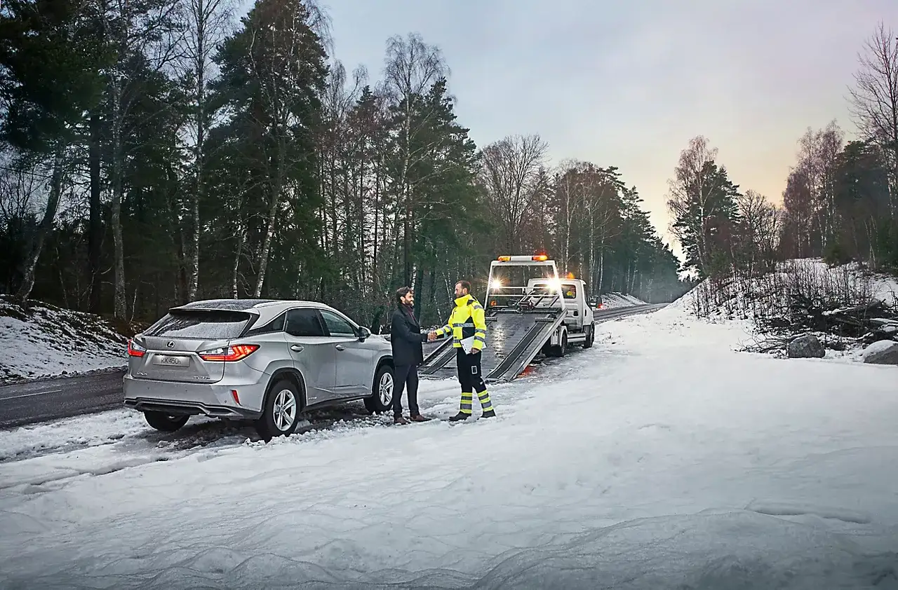Lexus Асістанс
